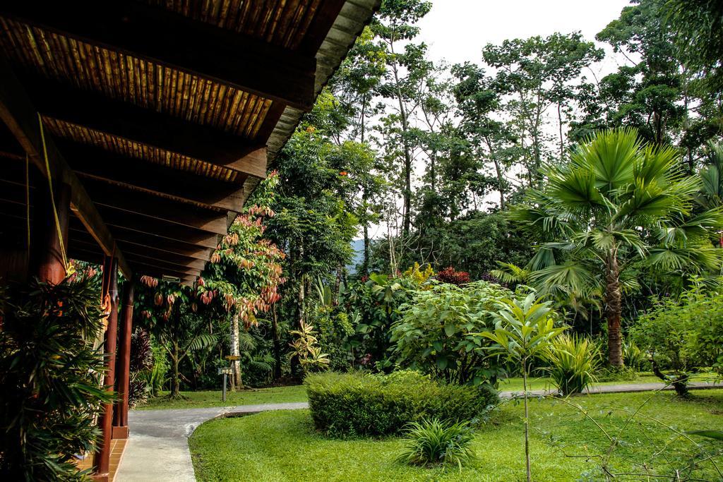 Catarata Eco Lodge La Fortuna Esterno foto