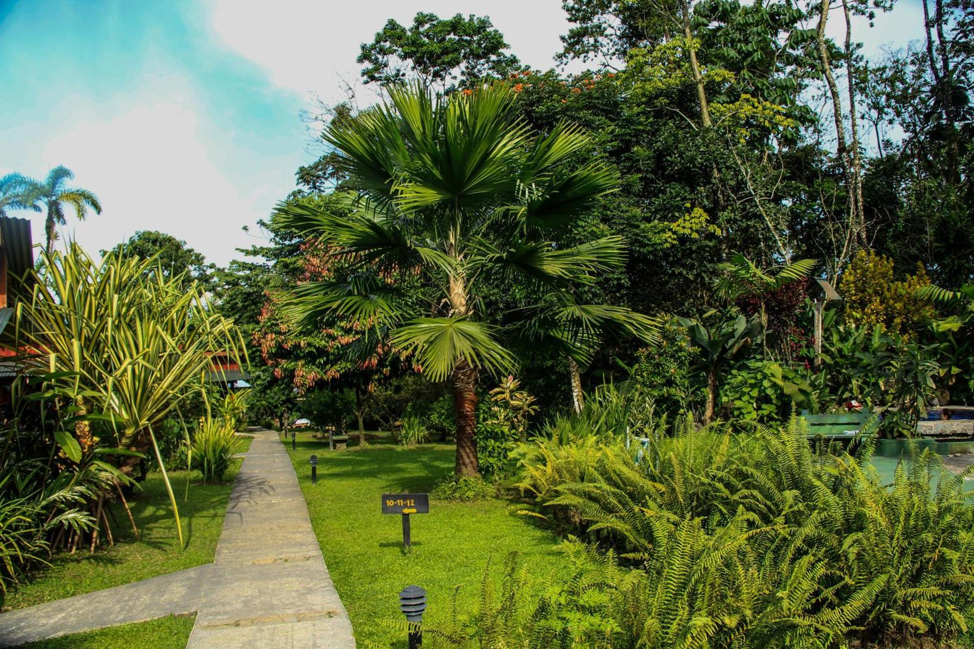 Catarata Eco Lodge La Fortuna Camera foto