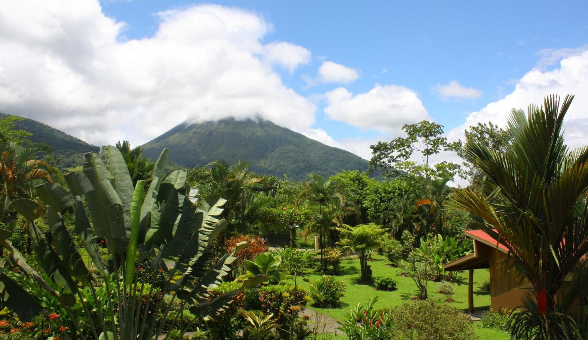Catarata Eco Lodge La Fortuna Esterno foto