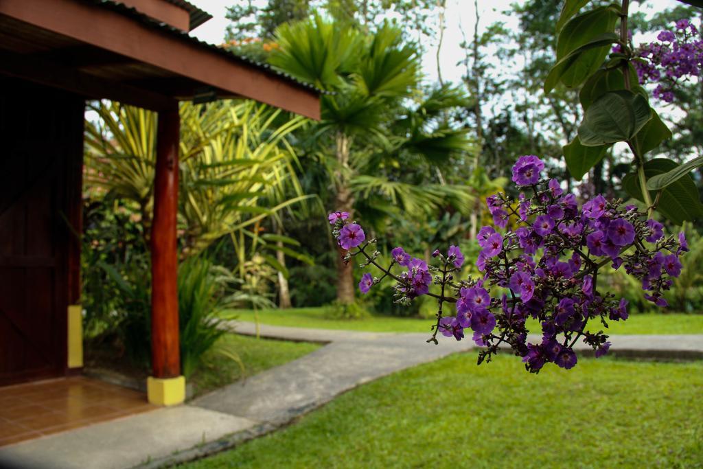 Catarata Eco Lodge La Fortuna Esterno foto