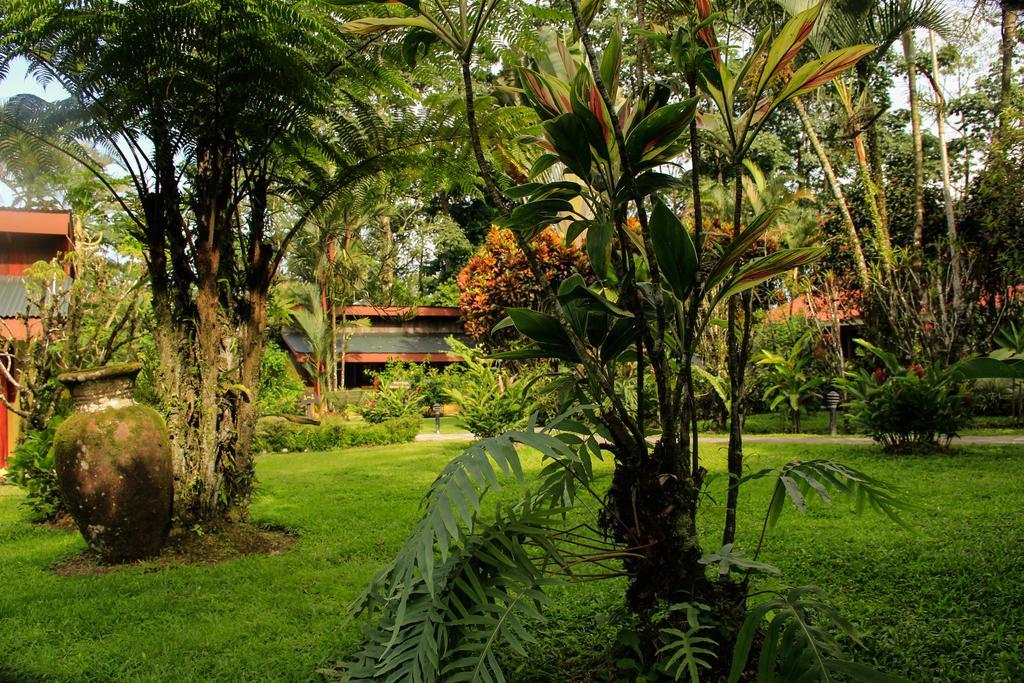 Catarata Eco Lodge La Fortuna Esterno foto